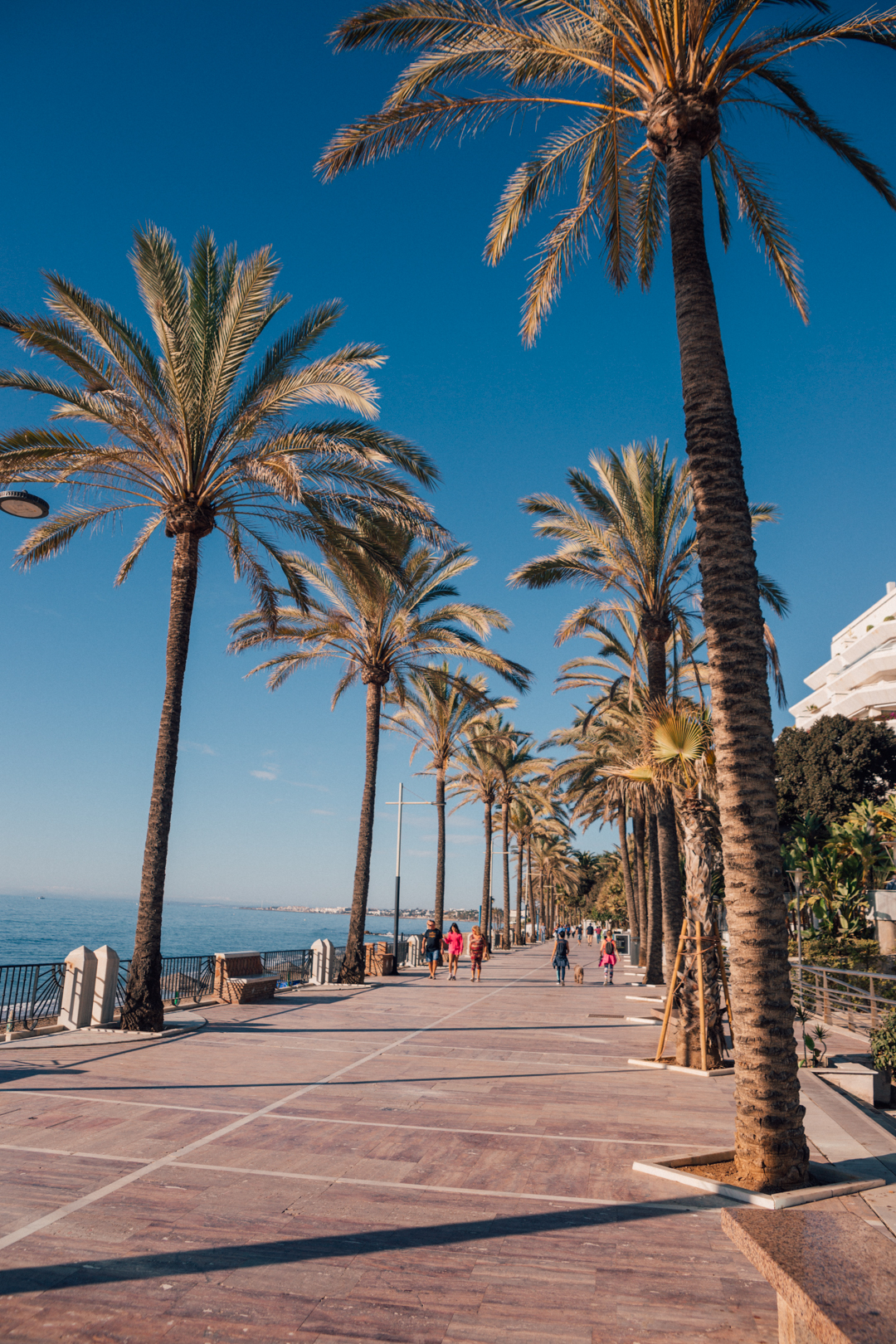 Marbella Guide: Discovering the Jewel of the Costa del Sol